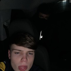 lomys