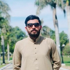 Ali Zaib