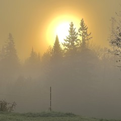 Tamara Millar Valdez