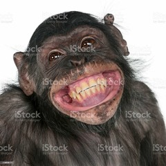 Brandon Heese