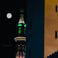 Khidmat al Mustafa ﷺ 3