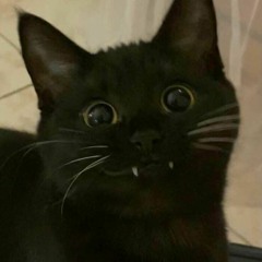 Mimi