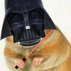 darth_chomik