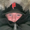 Ryan Geraghty