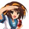 Taiga