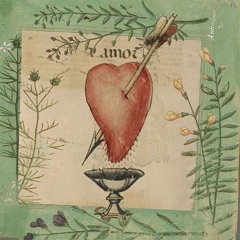 Rosa Sara