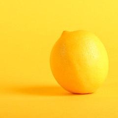 MISC ROMANCE / Vivian Stroke