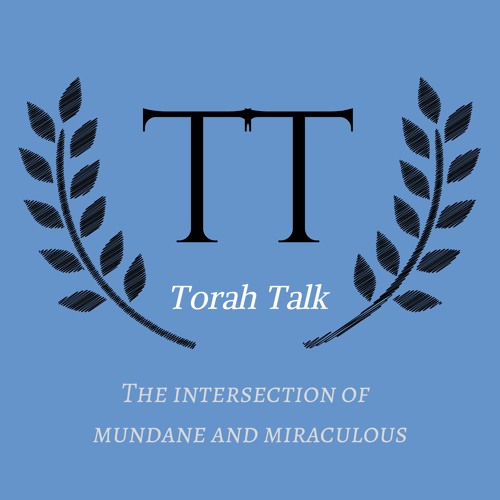 Torah Talk’s avatar