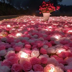 Butterfliesforeverxo