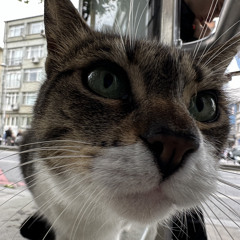 Bugra