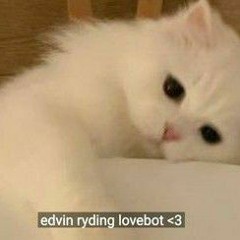 bubu