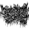 prefrontal cortex