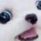 ImLeafy