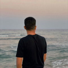 Atef Salman Mohamed