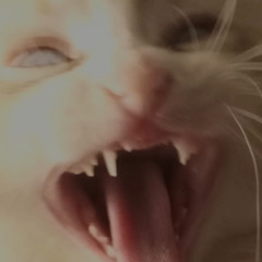THUNDXR