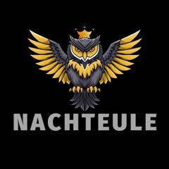 NachtEule246