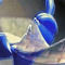 Dim Foot