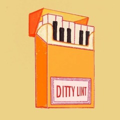 Ditty Lint