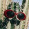 Killa Catus