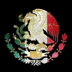 el_Gallo_De_Oro