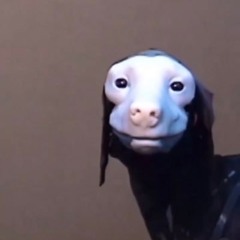 fatamorgana