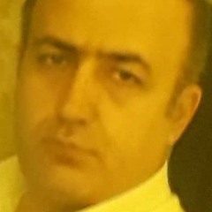 Majid M.b