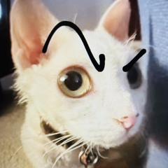 Tatortoot