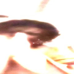 kløvr