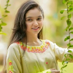 Rehmanullah4944