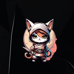 Ninjacat1