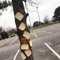 Chaotic Breadsticks