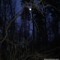NIGHT IN OCTOBER
