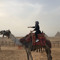Noura Alshareef