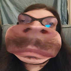 Doofy (Directors Cut Acoustic Cover)