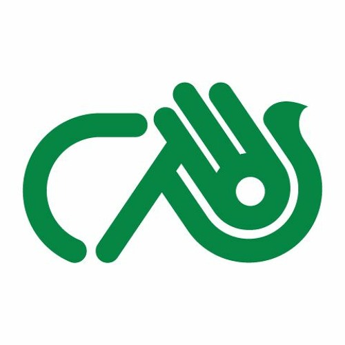 Stream CAO Of WNY Listen To Podcast Episodes Online For Free On SoundCloud