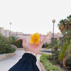 🌸radow🌸