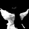 TAQ10_in7TAB