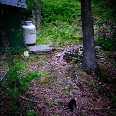 Marlon DuBois Archive