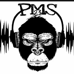 Pms23 aka PsychoMantiS "PureTribalRec"