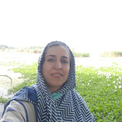 Zahra Golmohamadi