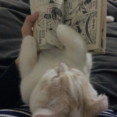 تضمن تعيش بكرا؟