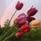 User 235104508
