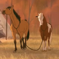 Eli Perez Cowboy Sheriff Woody Colonel US Cowboys