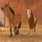 Eli Perez Cowboy Sheriff Woody Colonel US Cowboys
