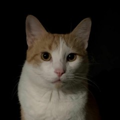 Eddi_134