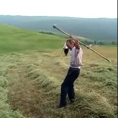 'bf'bb'b../.'.'.bbsb