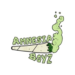 Amnesia Boyz