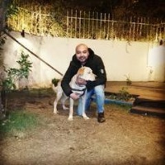 محمود زينهم