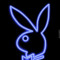 playboi txny