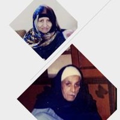 الصقر الجارح ابوعيسي